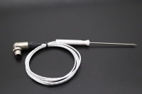 Combisteamer-Kernsonde