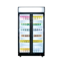 Glastür-Kühlschrank mit Werbedisplay, zwei Flügeltüren, 870x605x1996 (BxTxH)